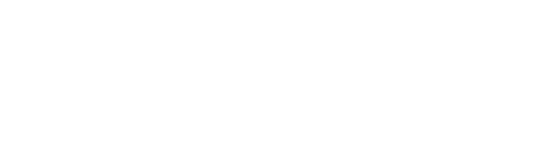 Executive MBA Council member logo